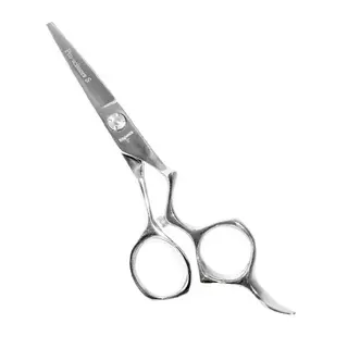 Ножницы KAPOUS прямые 5 "Pro-scissors S"